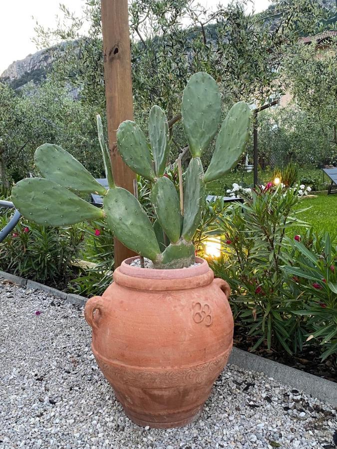 Ferienwohnung Casa 32 Torbole Sul Garda Exterior foto